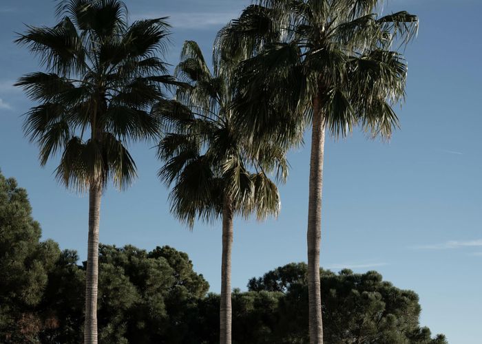 Ready to sell in Marbella?